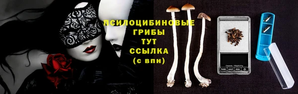 дурь Верея