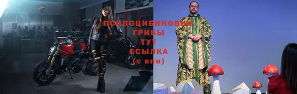 PSILOCYBIN Верхний Тагил