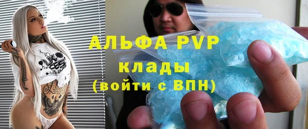 PSILOCYBIN Верхний Тагил