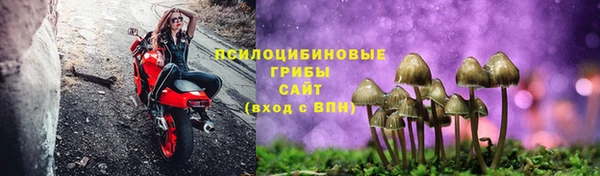 дурь Верея