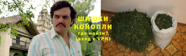 дурь Верея