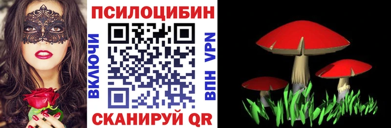 Галлюциногенные грибы Psilocybine cubensis  купить   Будённовск 